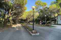 Fő utca a kempingben