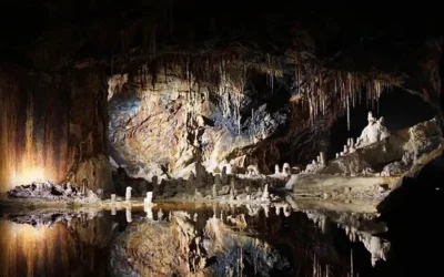 Grotta Gigante cseppkőbarlang, Trieszt