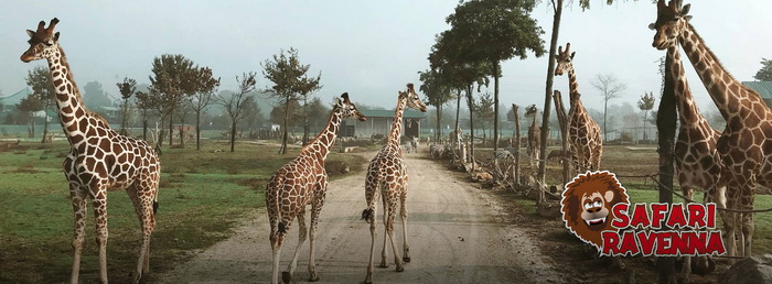 Ravenna-Szafari-Park